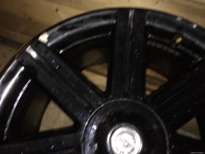 IMG_4341.JPG