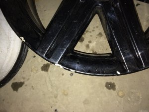 IMG_4343.JPG