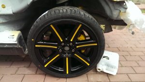 IMAG0229.jpg